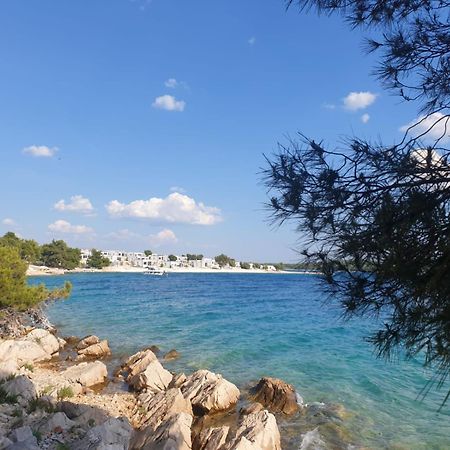 Eco Resort Buqez Villa 34 드라게 외부 사진