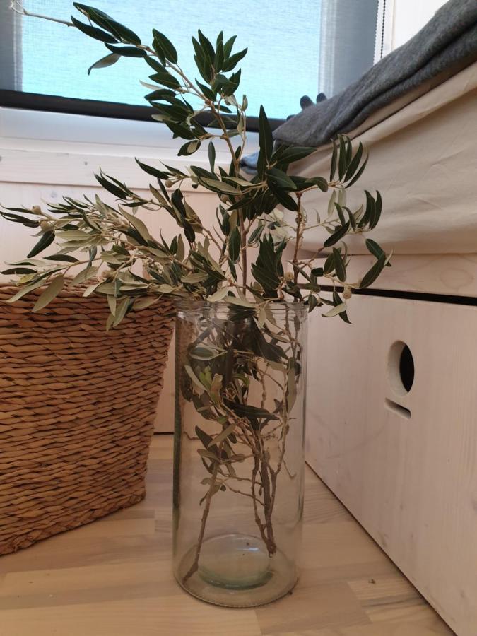 Eco Resort Buqez Villa 34 드라게 외부 사진